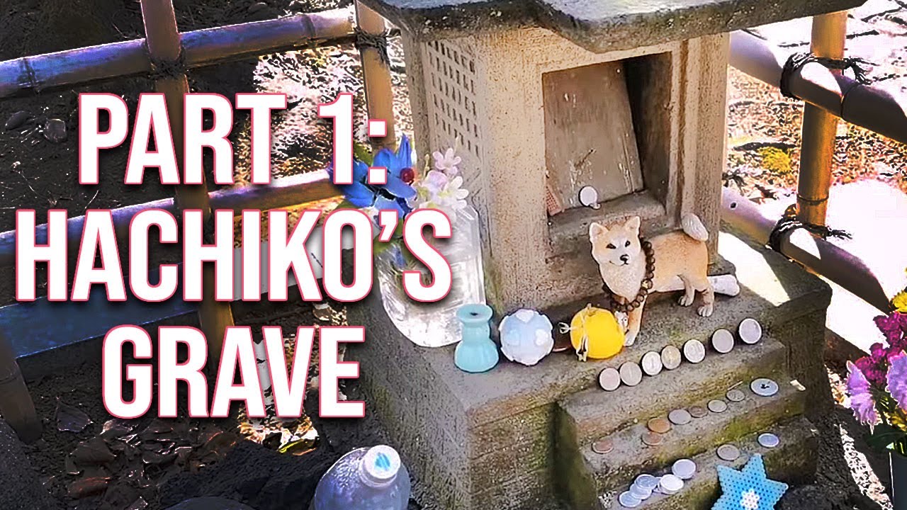 Part 1 Hachiko S Grave Hie Shrine 1080p Hd Japan Livestreams 21 Youtube Part 1 Hachiko S Grave Hie Shrine 1080p Hd Japan Livestreams 21 Youtube