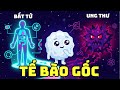 Tế Bào Gốc: Chìa Khóa Sự Bất Tử Hay Cơn Ác Mộng Ung Thư? | Tò mò