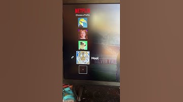 Change your profiles on Netflix. It could change your outlook on life. #lifecoachingwithhoot