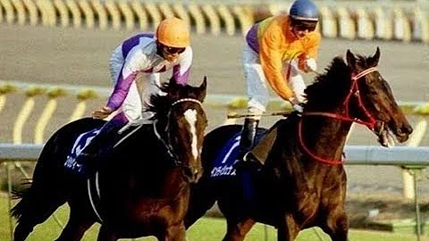 1999 Japan Cup G1 - Special Week (特別週) - Y.Take (原居民面對一群世界級馬展示出自己的鬥心及級數力拚到底入位 ) - 天天要聞