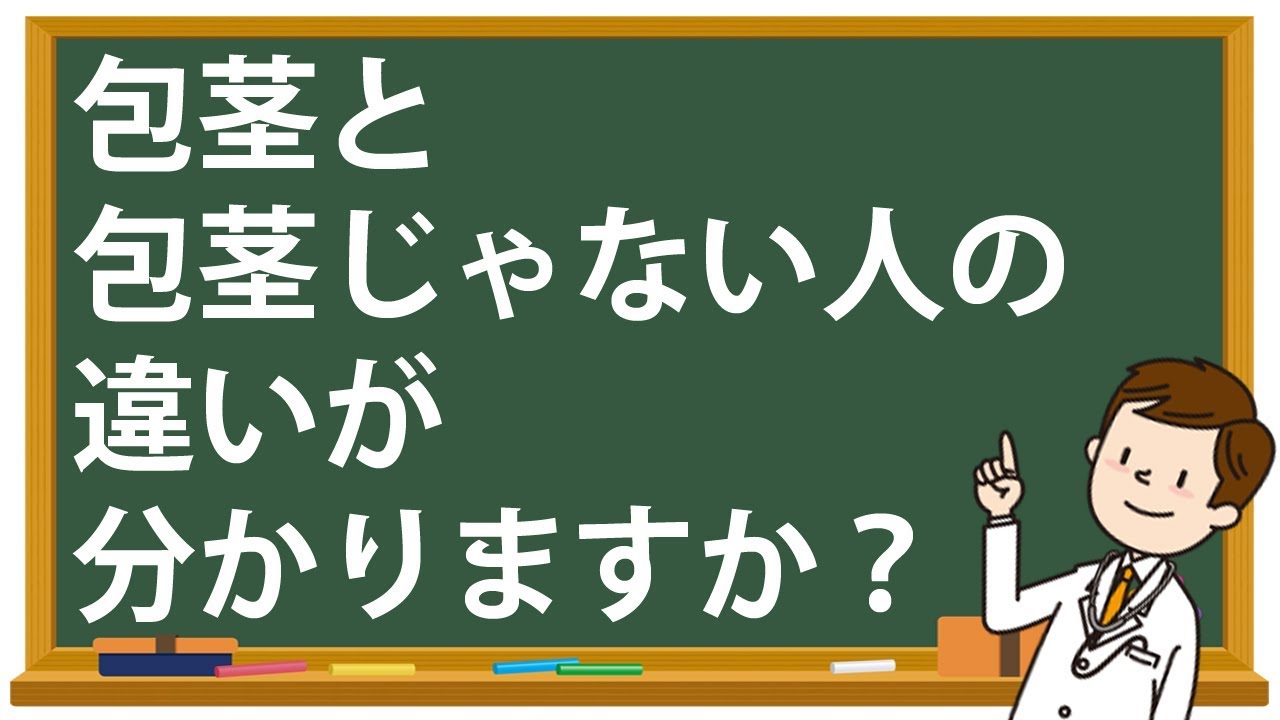 かせい ほう けい 違い