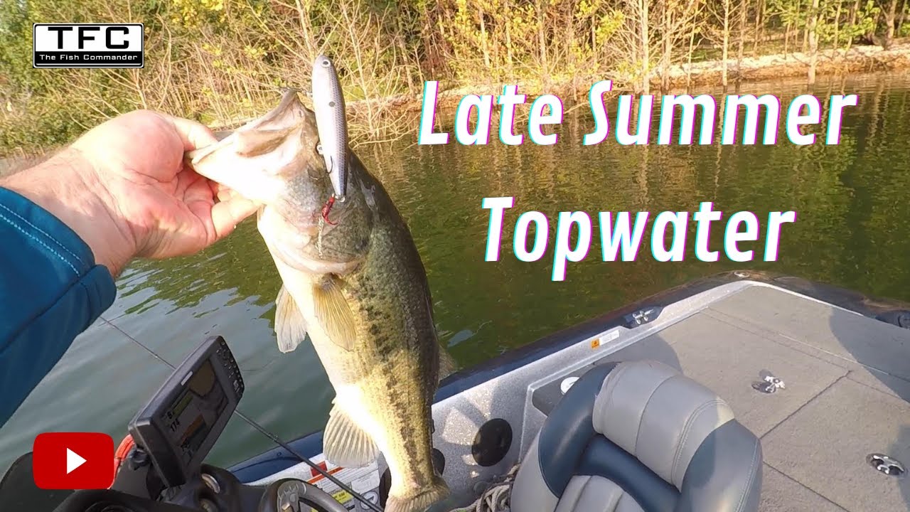 Late Summer Topwater | Pattern Fishing 101
