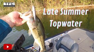 Late Summer Topwater | Pattern Fishing 101