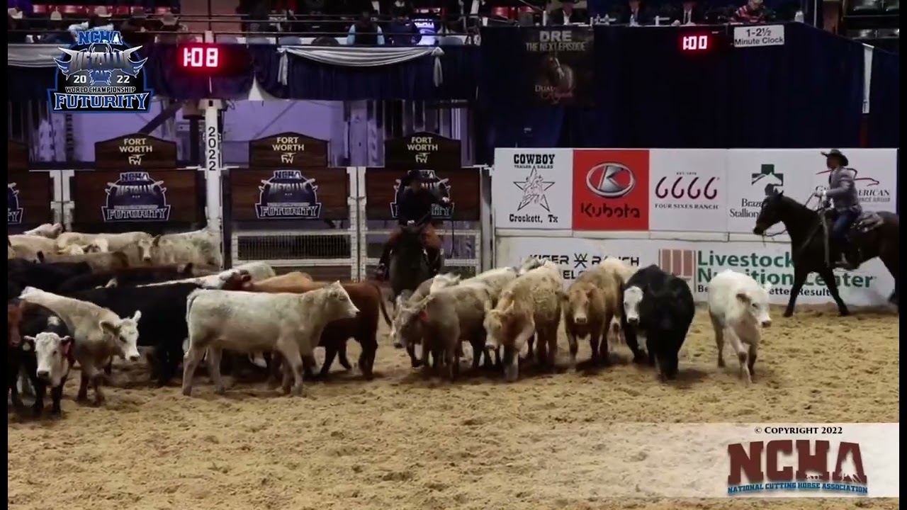 NCHA futurity finals. Swing Wide ridden by Cullen Chartier