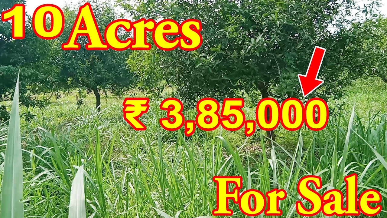 10 Acres Cheap Price At VISAKHAPATNAM Land For Sale Double Crop