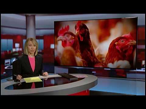 CHICKEN FARM FEARS concerns about plans for an Oxfordshire village. Broadcast 24/04/19.