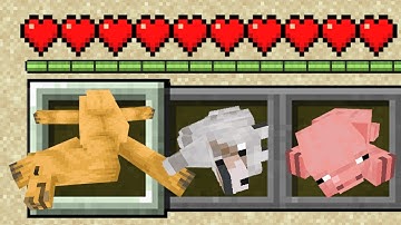 Minecraft PE : DEATH ANIMATION ADDON in Minecraft Bedrock!