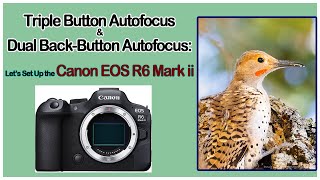 How To Set Up the Canon EOS R6 Mark ii for Triple Button Autofocus & Triple Back Button Autofocus