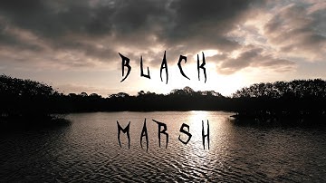 BLACK MARSH - Daridel (Official Video)