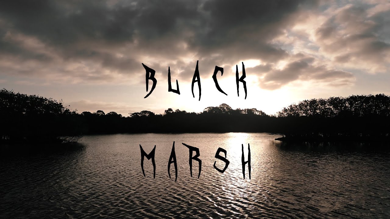 BLACK MARSH - Daridel (Official Video)