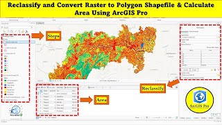 Reclassify and Convert Raster to Polygon Shapefile & Calculate Area Using ArcGIS Pro