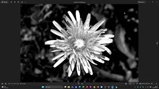 Showcase: Liquid Charocal - An Image Processing Pipeline