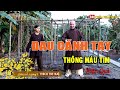 5 PHÚT Mỗi Ngày TRỊ ĐAU NHỨC CÁNH TAY, THÔNG MÁU - TIM KHỎE | Cực Kỳ Đơn GIản. Lương Y Thích Trí Huệ