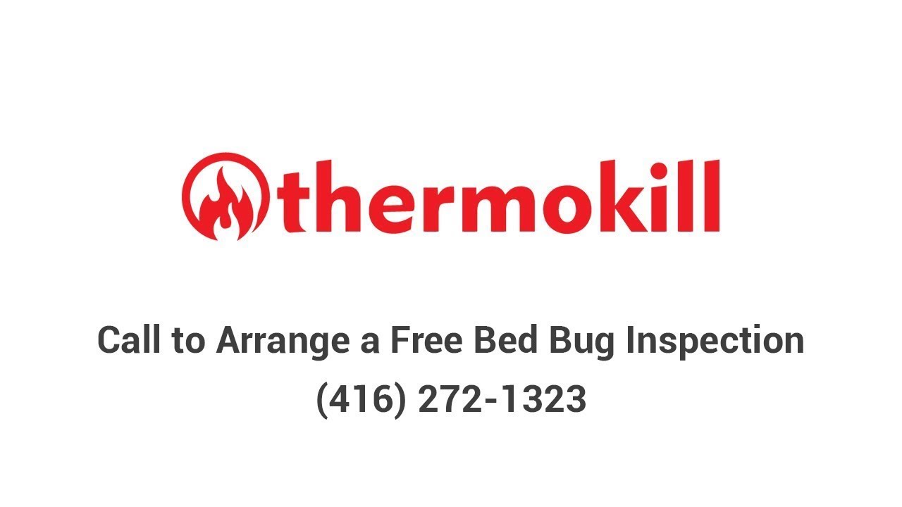 Affordable Bed Bugs Exterminator Toronto