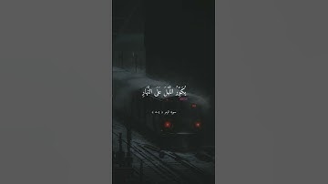 لَّوْ أَرَادَ اللَّهُ أَن يَتَّخِذَ وَلَدًا   تلاوة بصوت ماهر المعيقلي ارح سمعك #ماهر المعيقلي