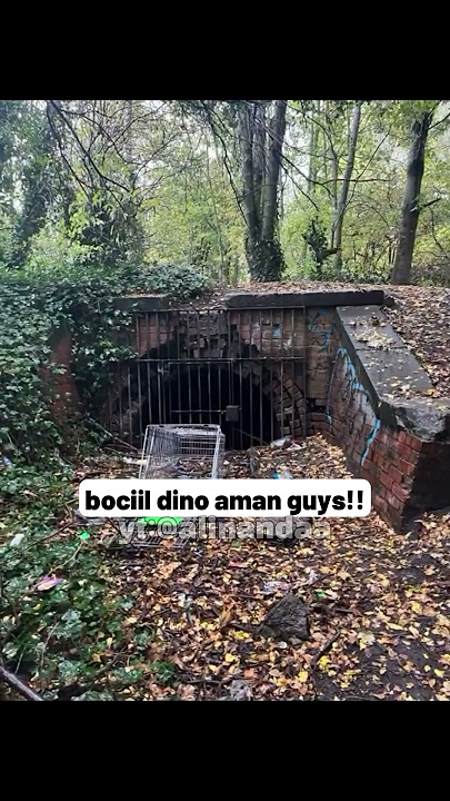 bocil dino ketemu guys!! #99nightintheforest  #robloxindonesia #robloxshorts #roblox