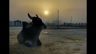 Gujarat Travel Guide, India - Travel Snapshots 4K. (ULTRA HD)