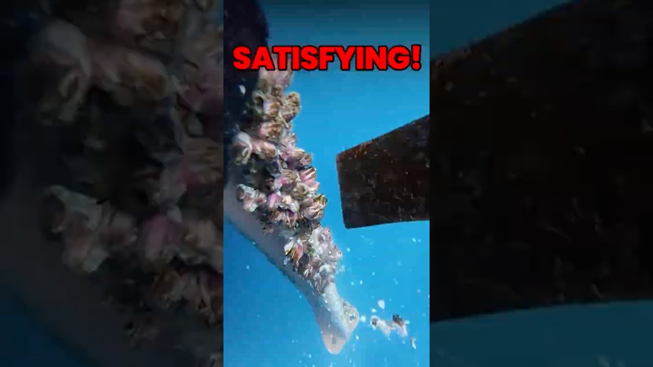Why This Diver is Scraping Barnacles off a Ship 🤯
