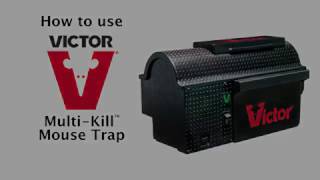 Get rid of mice, Victor Multi Kill Electronic Mouse Trap, kills up to 10 mice