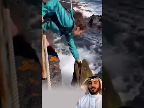 حين اشتد الهجوم من حولي كان لطف الله هو الحصن الذي لا ي رى لايك ابلور 