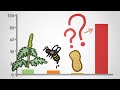 Understanding Urushiol and Immune Response