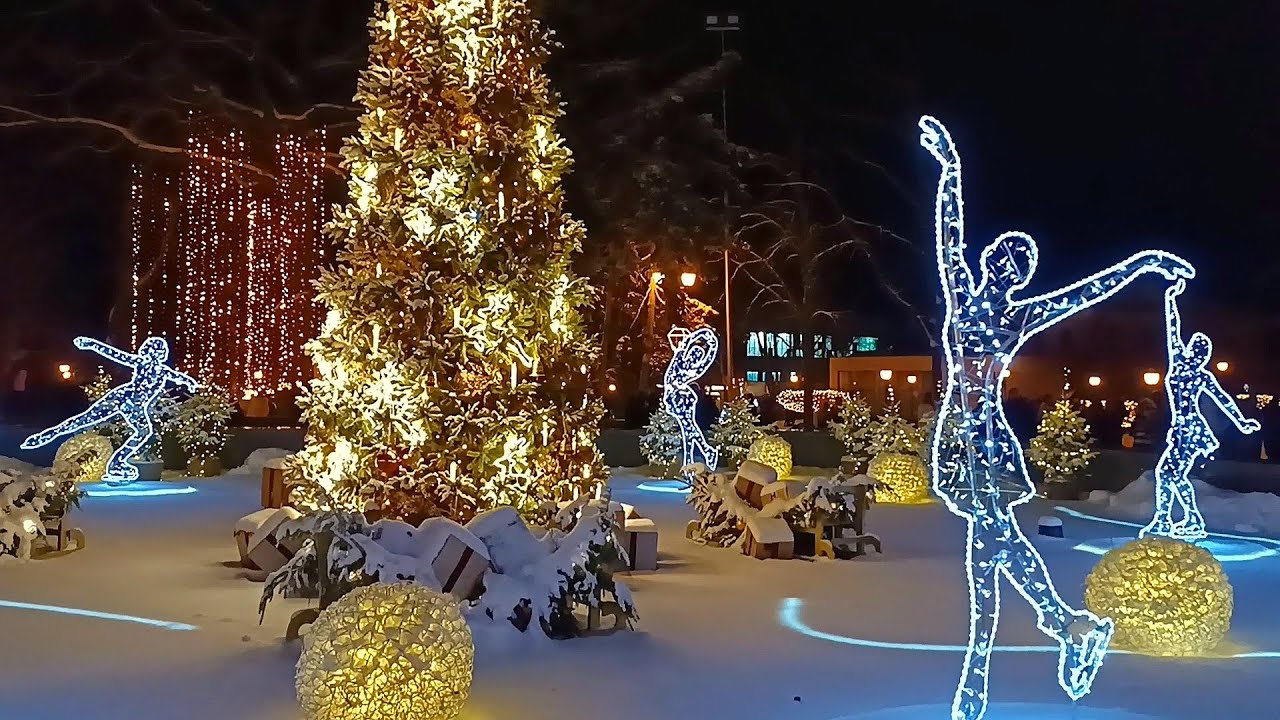 Новогодний Харьков - 2026. Сад Шевченко, улица Сумская и Зоологический мост - в сиянии огней.