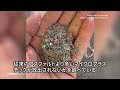 ハワイのゴミ問題を解決できるか、漁網やプラスチックをアスファルトに再利用　安全や耐久性の検証進む