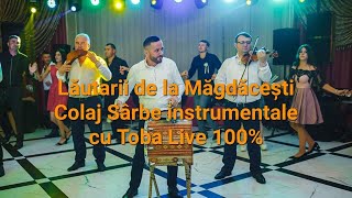 Lăutarii de la Măgdăcești - Colaj de Sârbe instrumentale cu toba Live