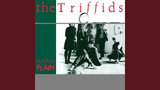 Video thumbnail of "The Triffids - Red Pony"