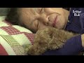 Friendship Between Disabled Dog And Grandma With Alzheimer’s Is A Drama (Part 2) | Kritter Klub