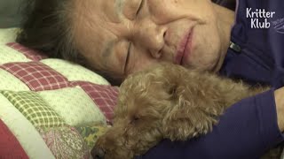 Friendship Between Disabled Dog And Grandma With Alzheimer’s Is A Drama (Part 2) | Kritter Klub