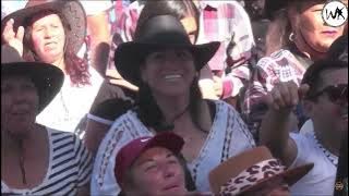 Los Tigres de parral en vivo