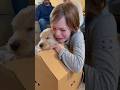 🐶👦 A child meets a pet for the first time—and the bond forms instantly! #dog