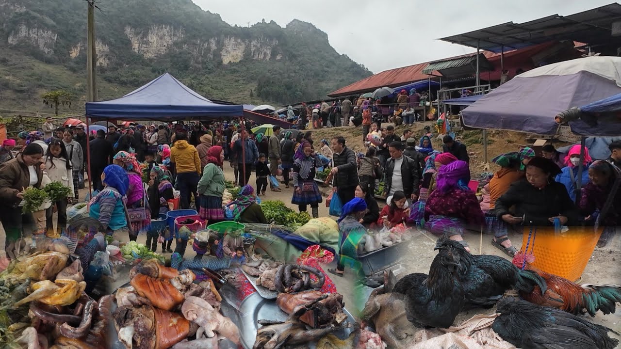 Nình Còi TiVi, Đi Chợ Phiên Vùng Cao Tây Bắc Dịp Cuối Năm Bà Con Trên Bản Mang Gà Vịt Ra Bán