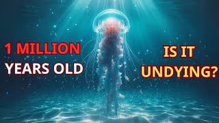 Top 15 OLDEST LIVING ANIMALS on earth