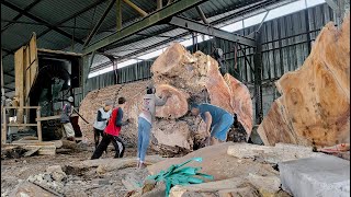История древесины Вату Додол трембези на Восточной Яве была продана за 1 миллиард! Пиломатериалы Лес