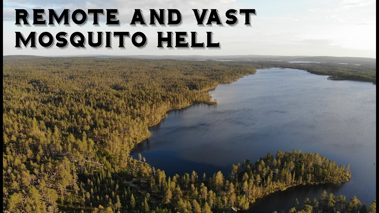 Probably the Least Visited Place in Europe: Øvre Pasvik National Park, Norway