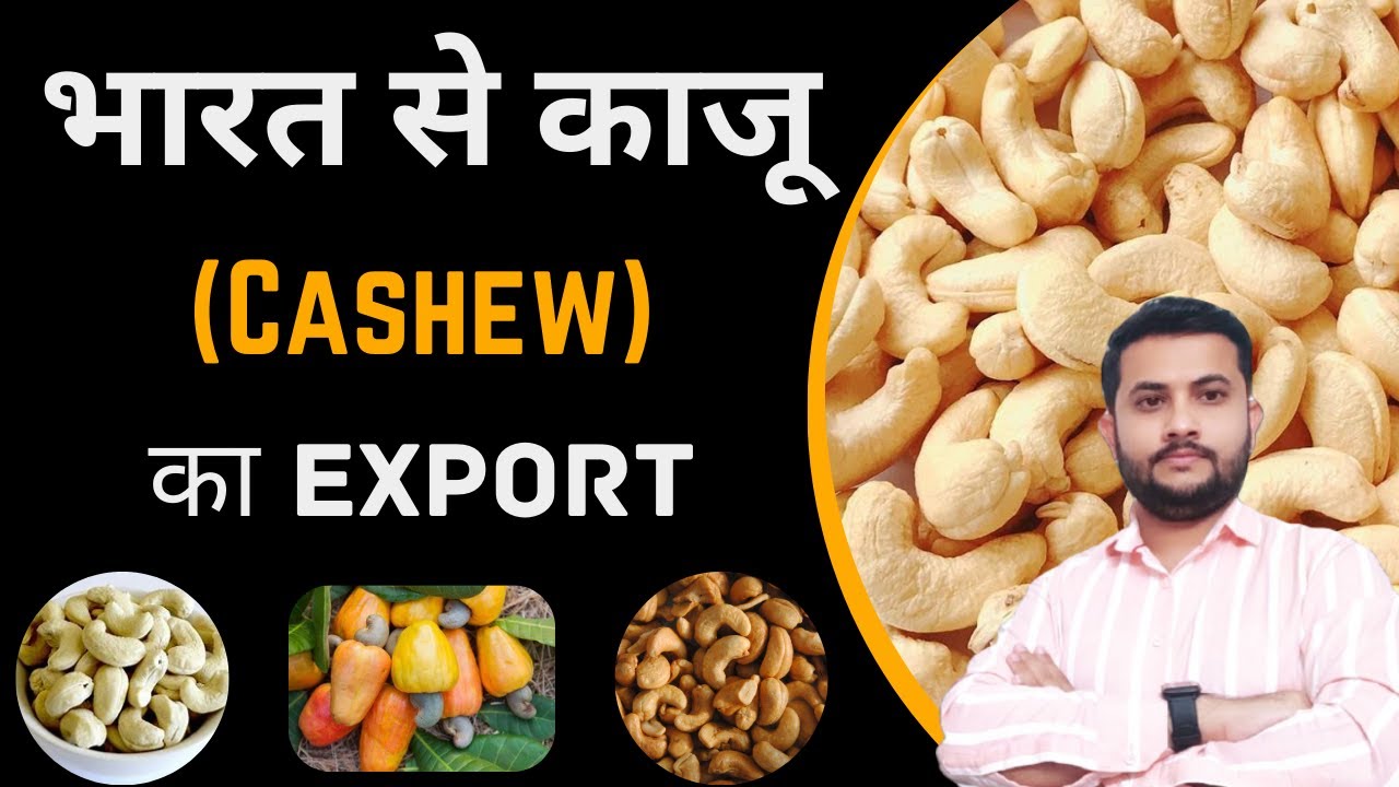 How To Export Cashew From India || काजू का EXPORT 
