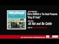 Chris Shiflett & The Dead Peasants - King Of Fools (Official Audio)
