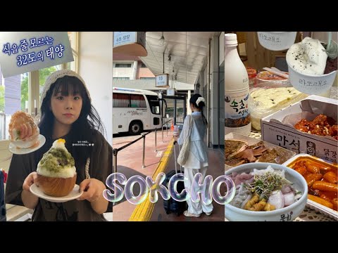 ☀️🌊⛱️ 속초 여름 휴가 브이로그 : 식도락도 락이다🎤 | 속초브이로그 / 속초여행 / 속초항아리물회 / 속초해수욕장 / 속초중앙시장 / 우동당 / 흰다정 / 감자옹심이