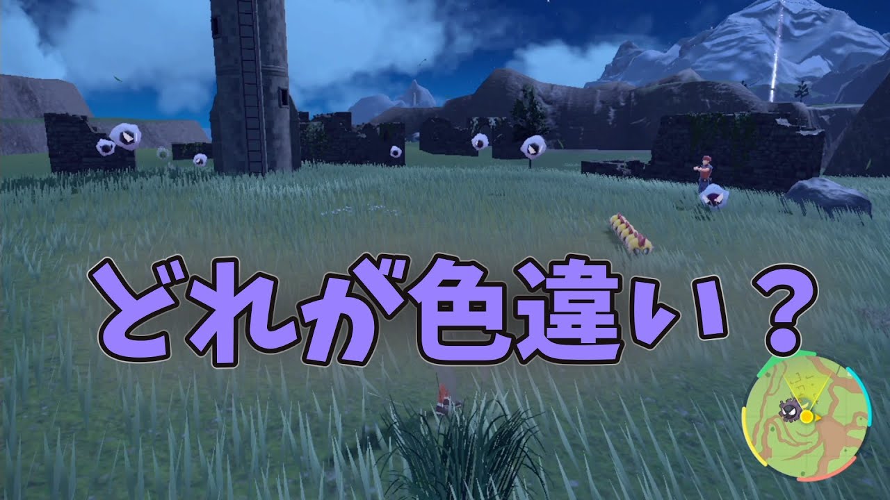 ゴース 色 違い