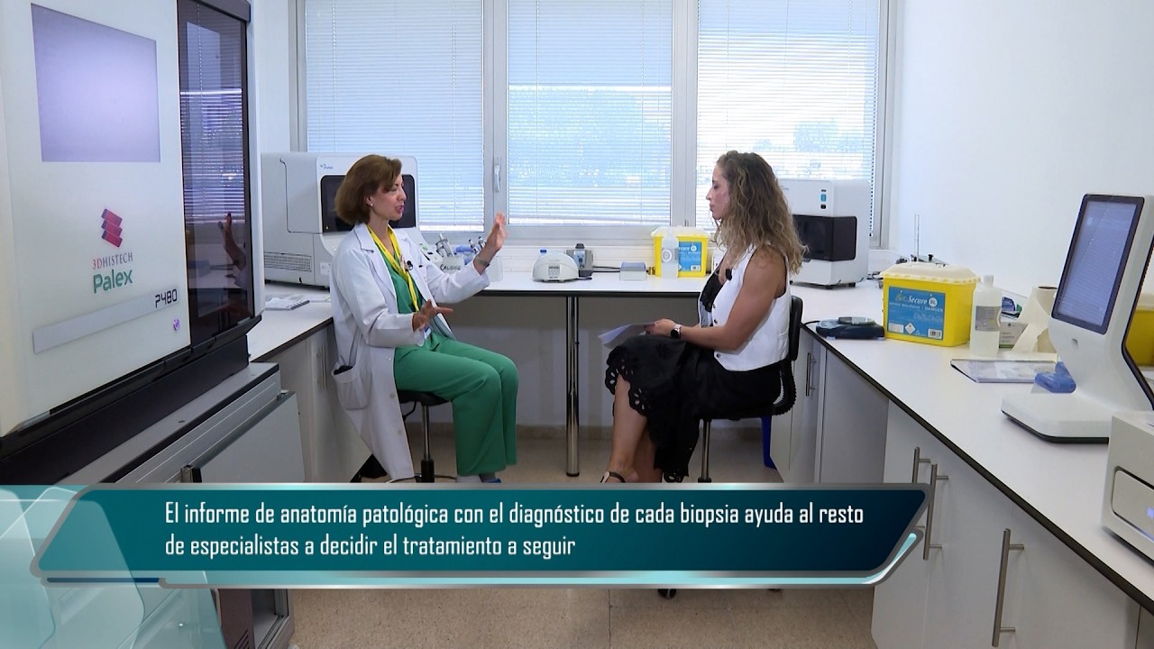 T6/E42: Anatomía patológica