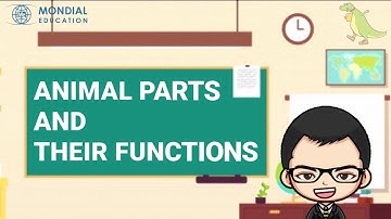 Science Grade 4 Unit 1 Animal Parts and Their Functions