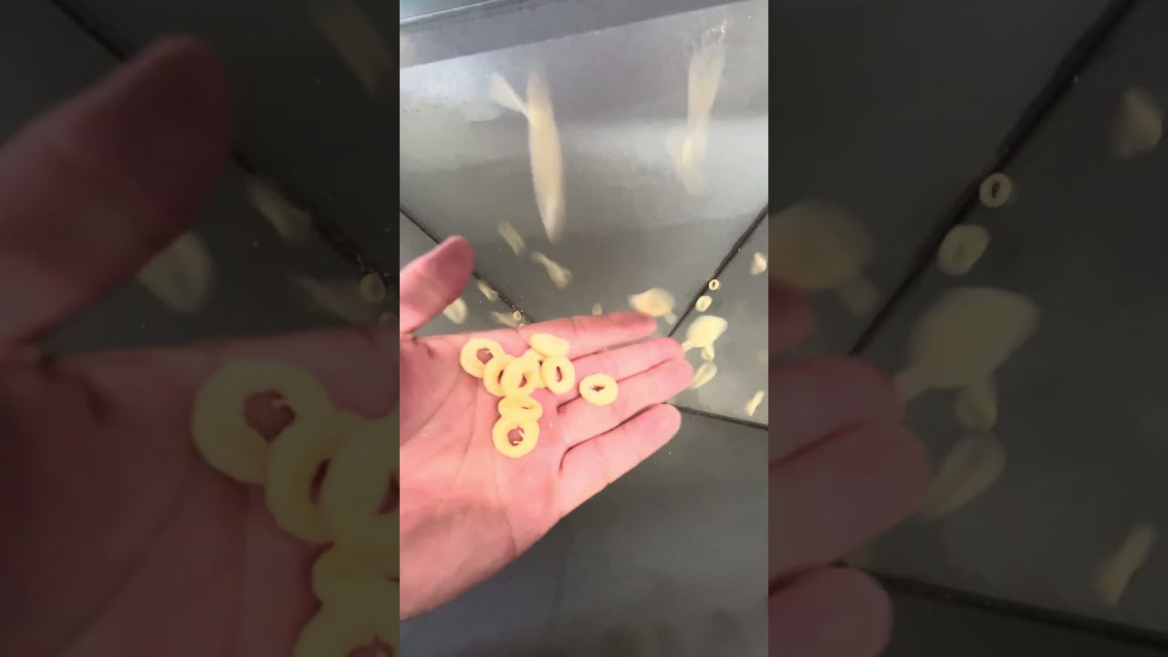 Breakfast cereal puffed corn rings Cheerios cereal rings production line machinery and equipment