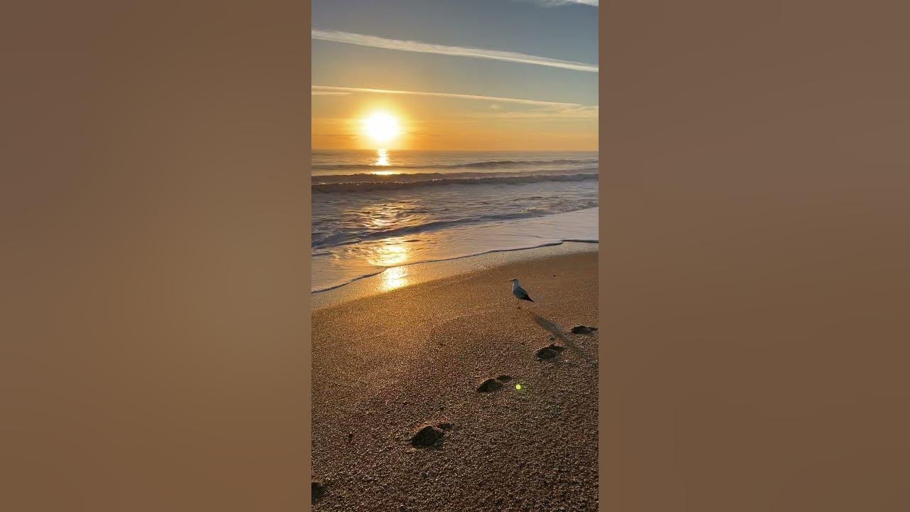 4K sunrise with a seagull and Saint Augustine this morning #beach # ...
