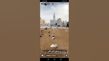 الشيخ ماهر المعيقلي ما تيسر من سورة القيامة بصوت جميل