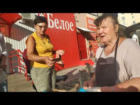 Video: Saratovun Zavodskoy rayonu: infrastruktur və ekoloji vəziyyət