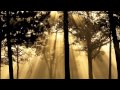 e.s.t. Esbjorn Svensson Trio - Brewery of Beggars