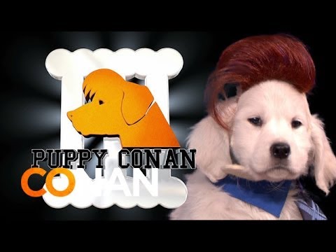 Video: Pet Scoop: Puppy Conan debitira na TV-u, Purple Squirrel uočen u Pennsylvaniji