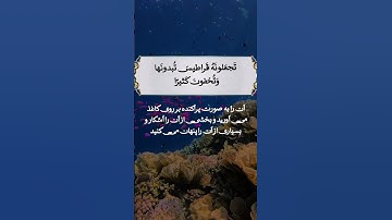 سوره_ انعام _ایت_91_#قراءة_القرآن    # القران الكريم #